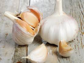 Verduras Deshidratadas